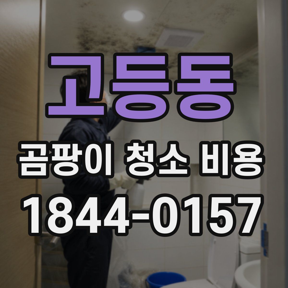 고등동 곰팡이 청소 비용