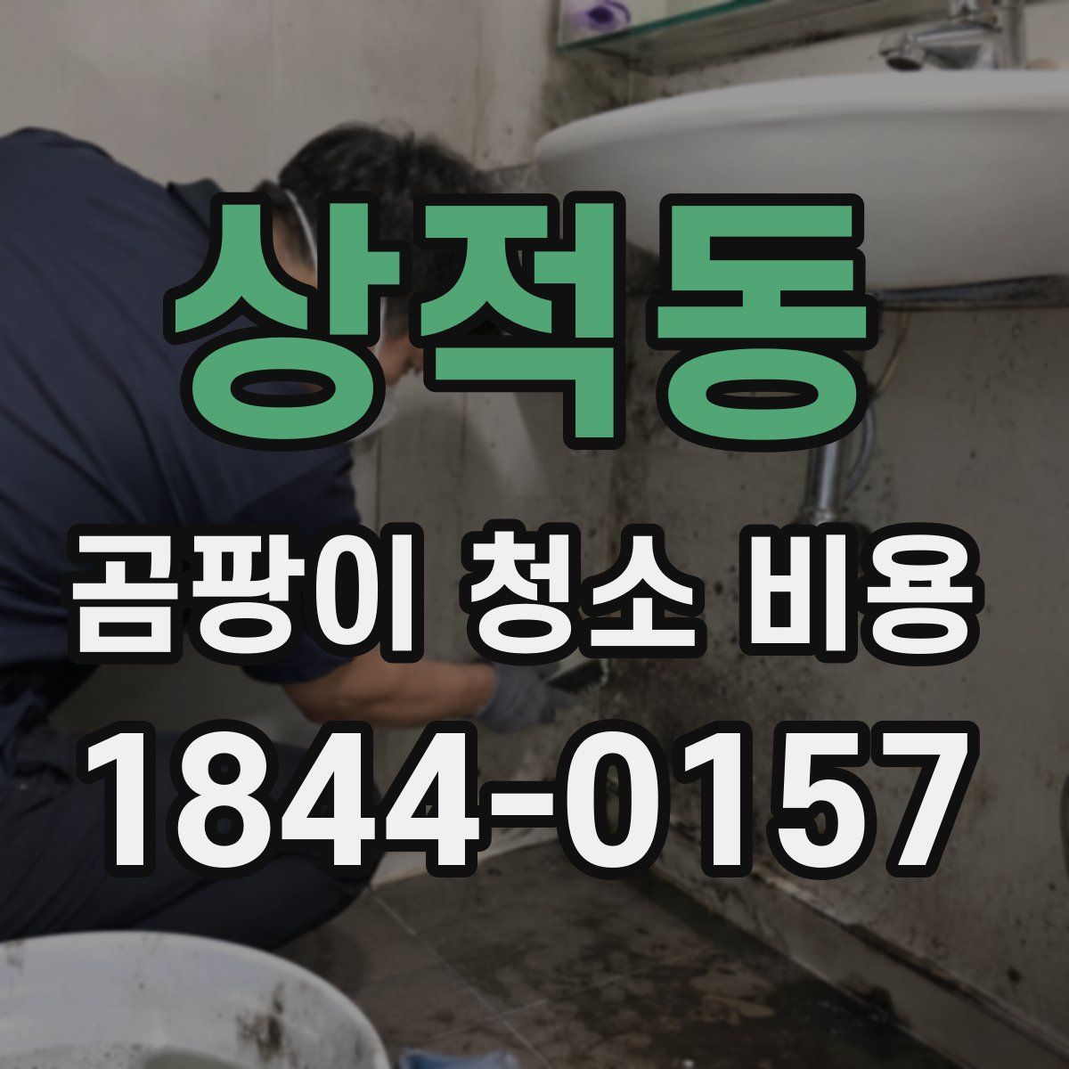 상적동 곰팡이 청소 비용