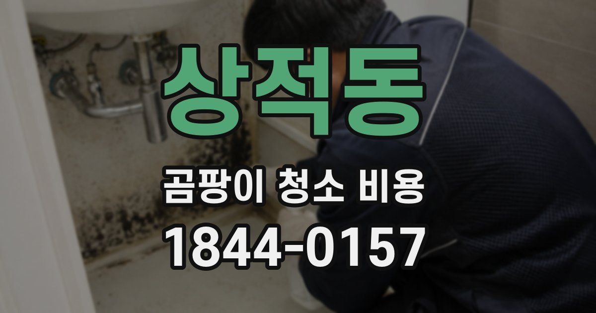 상적동 곰팡이 청소 비용