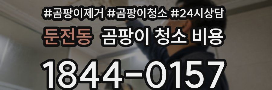 둔전동 곰팡이 청소 비용