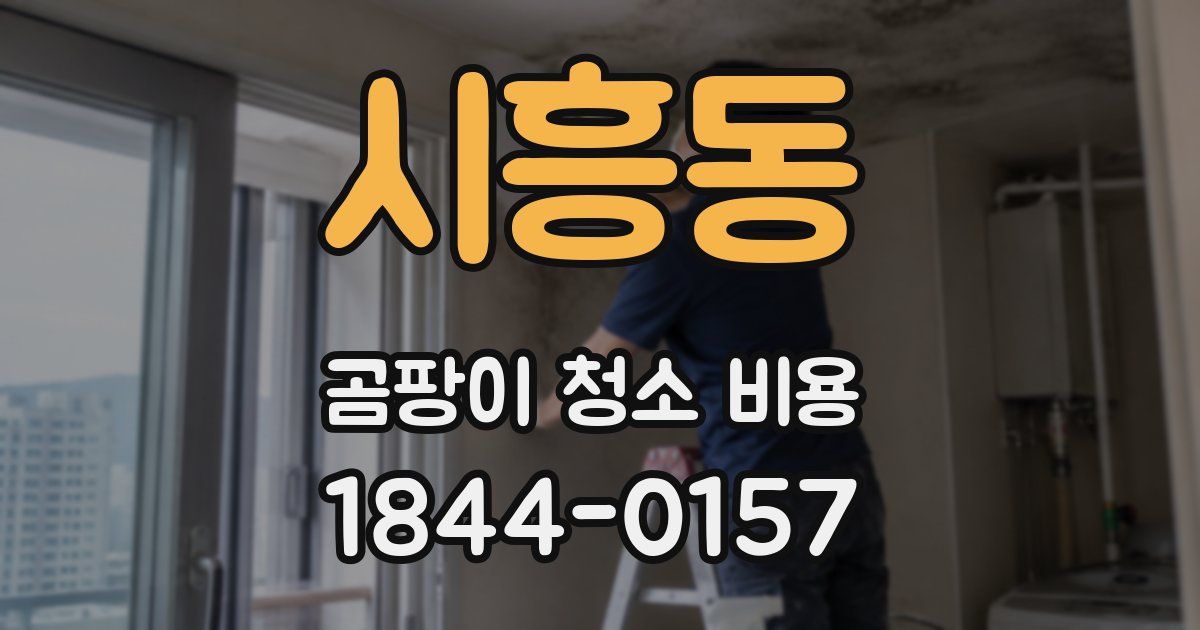 시흥동 곰팡이 청소 비용