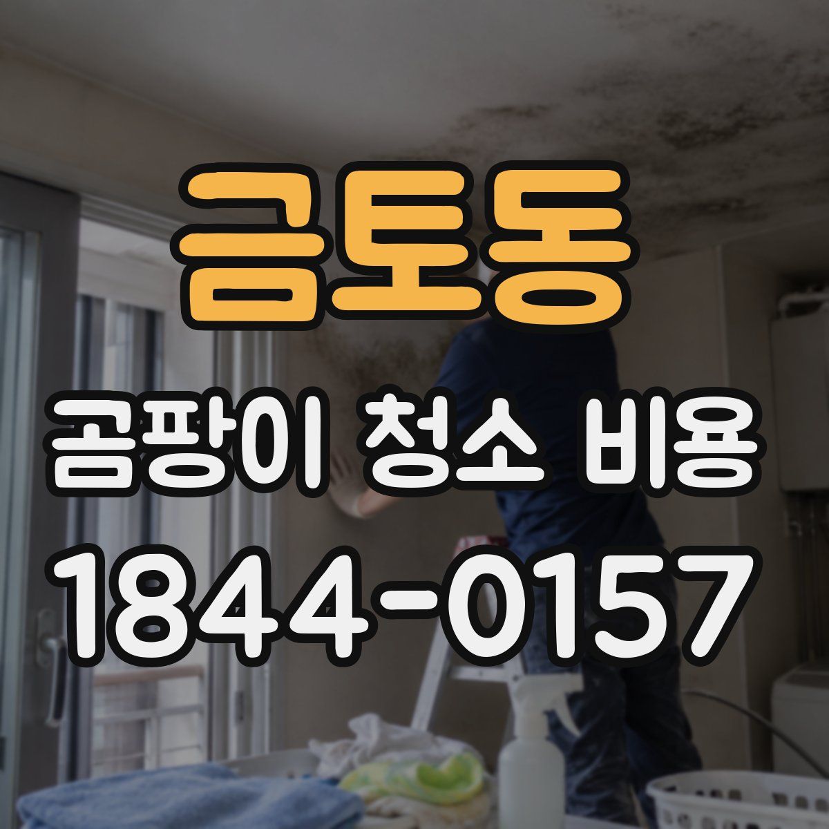 금토동 곰팡이 청소 비용