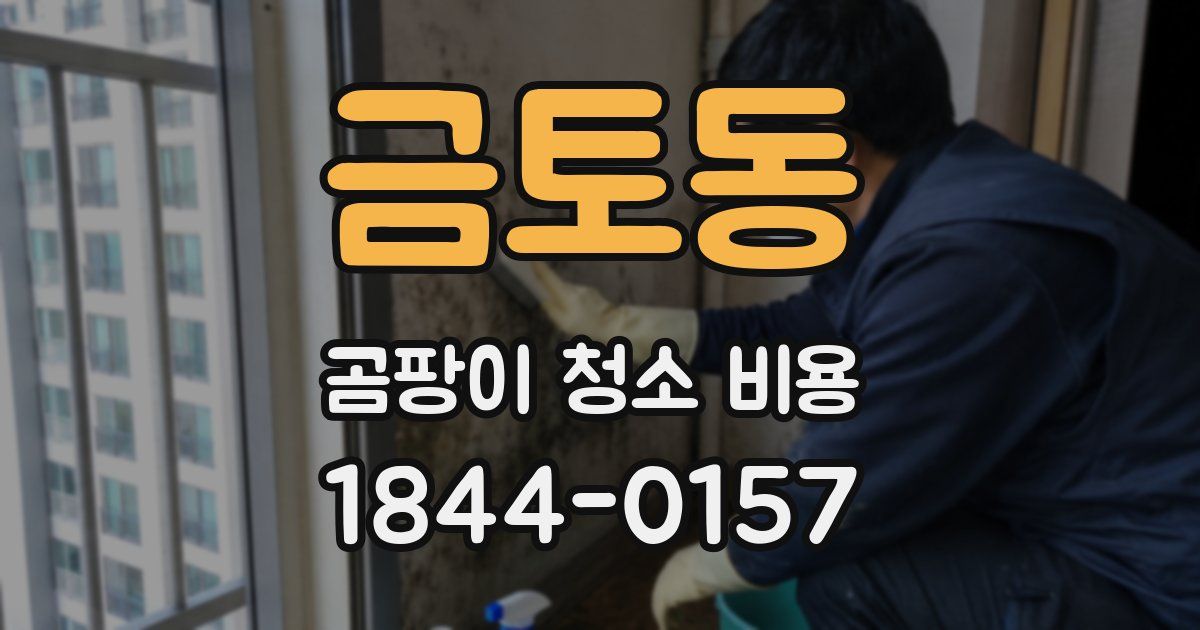 금토동 곰팡이 청소 비용
