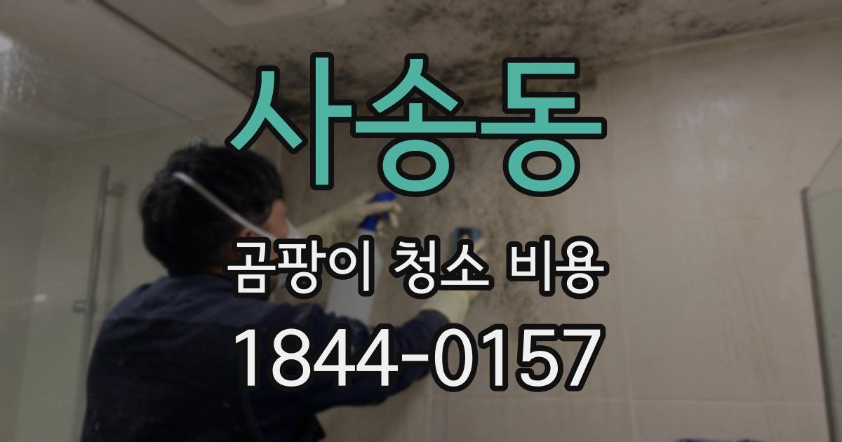 사송동 곰팡이 청소 비용