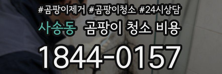 사송동 곰팡이 청소 비용