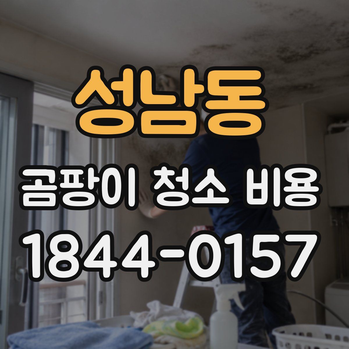 성남동 곰팡이 청소 비용