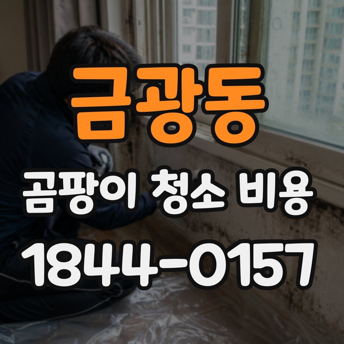 금광동 곰팡이 청소 비용 세입자와 집주인 분담은 어떻게 나뉠까