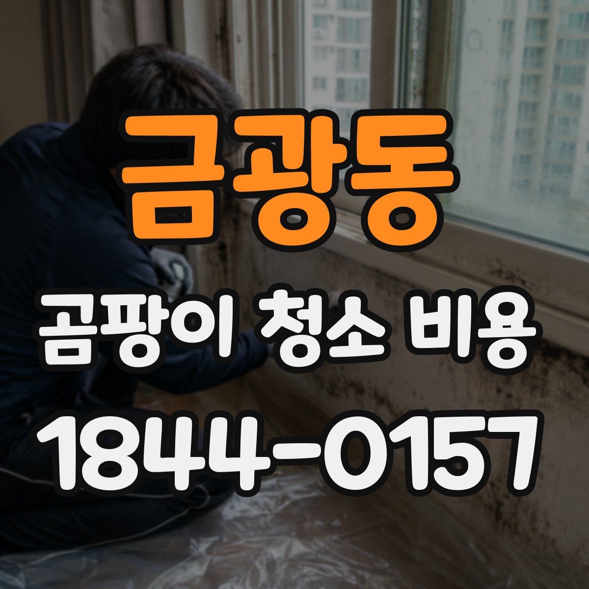 금광동 곰팡이 청소 비용
