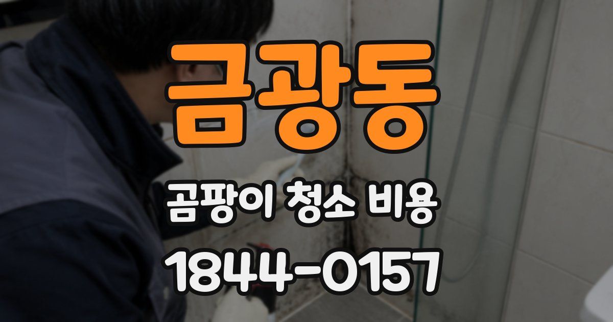 금광동 곰팡이 청소 비용