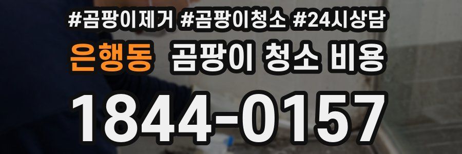은행동 곰팡이 청소 비용