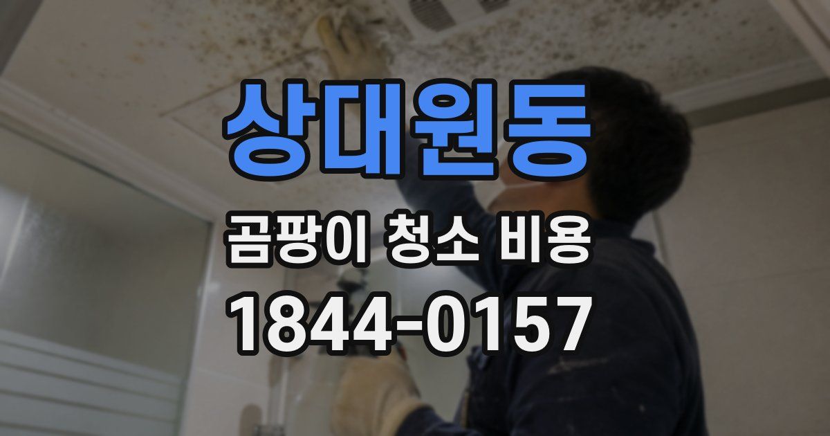 상대원동 곰팡이 청소 비용