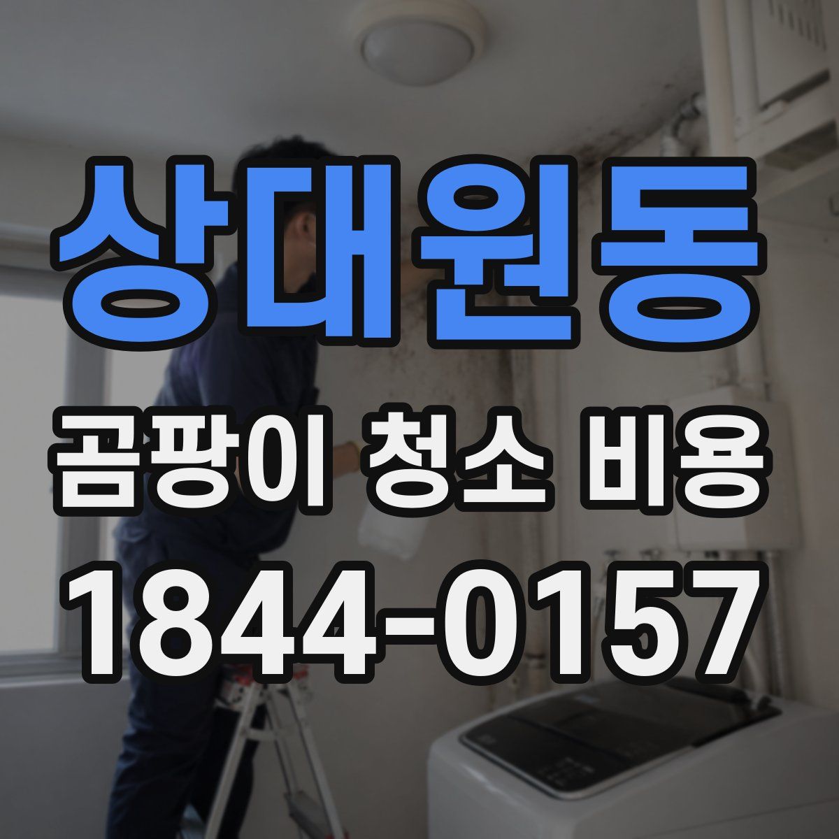 상대원동 곰팡이 청소 비용
