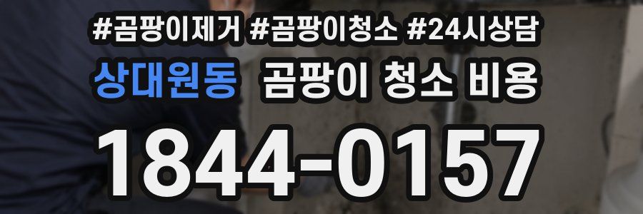 상대원동 곰팡이 청소 비용