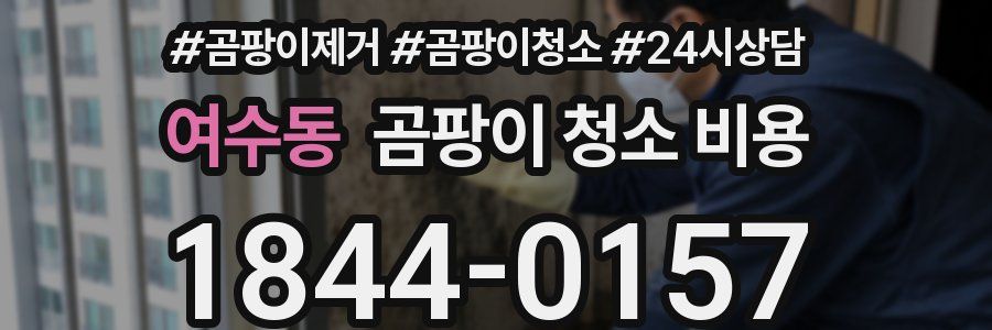 여수동 곰팡이 청소 비용