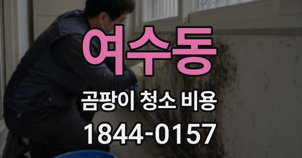 여수동 곰팡이 청소 비용