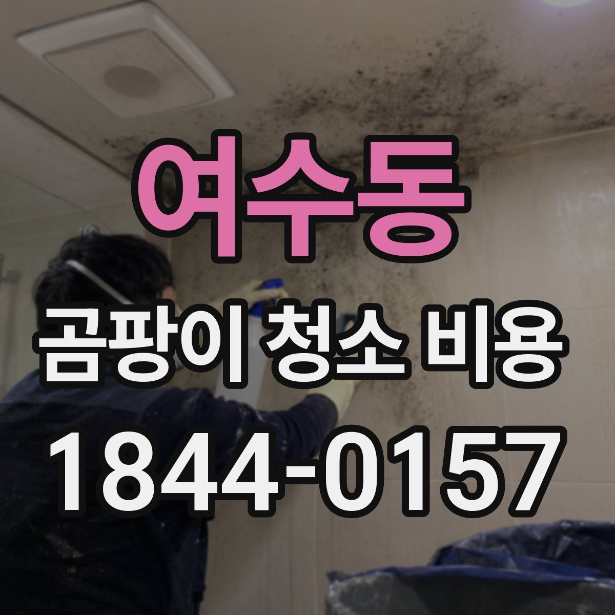여수동 곰팡이 청소 비용
