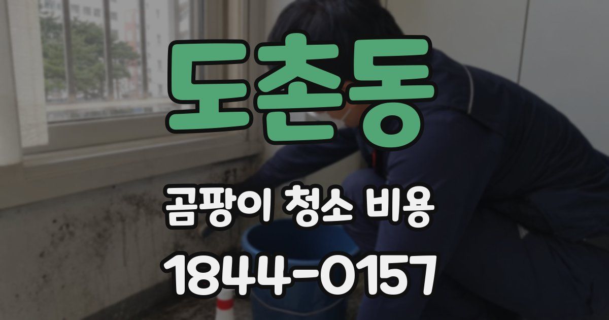 도촌동 곰팡이 청소 비용