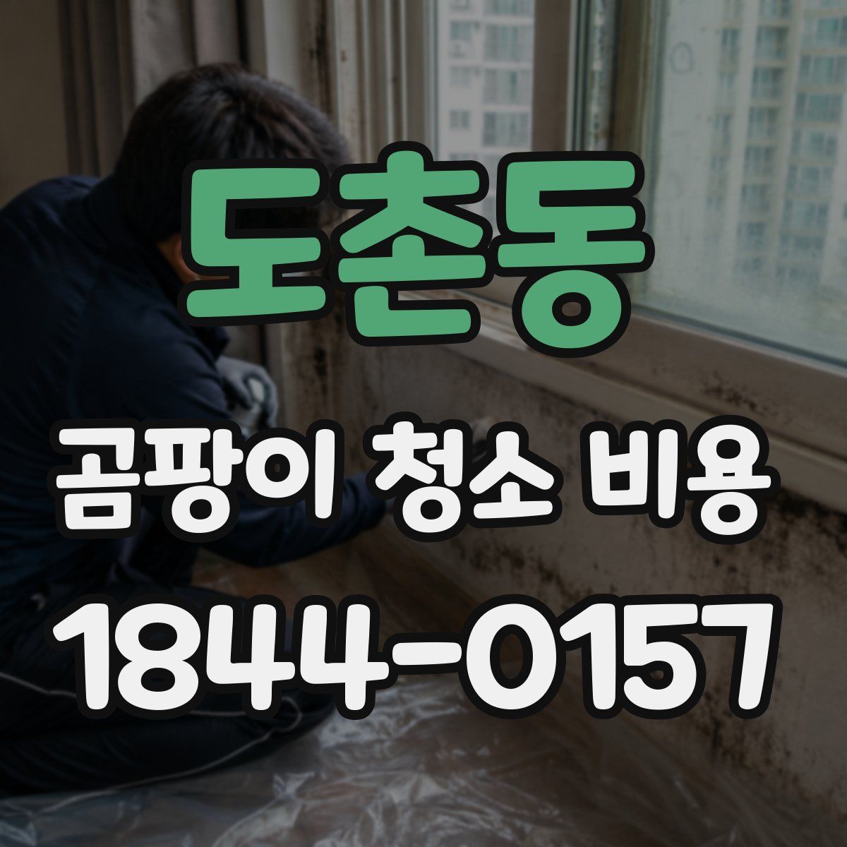 도촌동 곰팡이 청소 비용