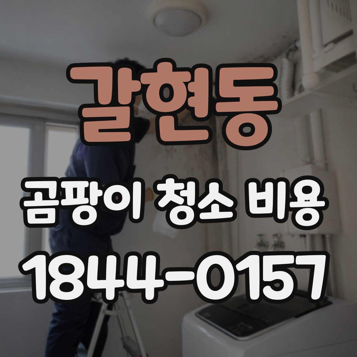 갈현동 곰팡이 청소 비용