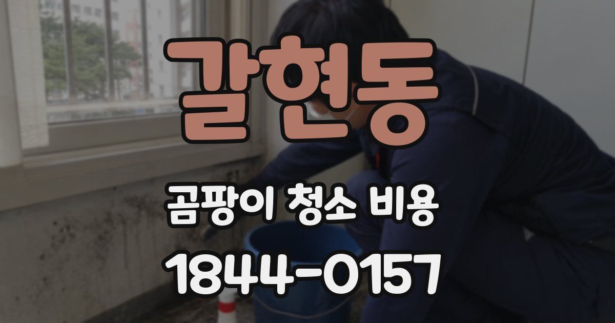갈현동 곰팡이 청소 비용