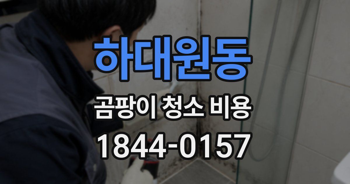 하대원동 곰팡이 청소 비용