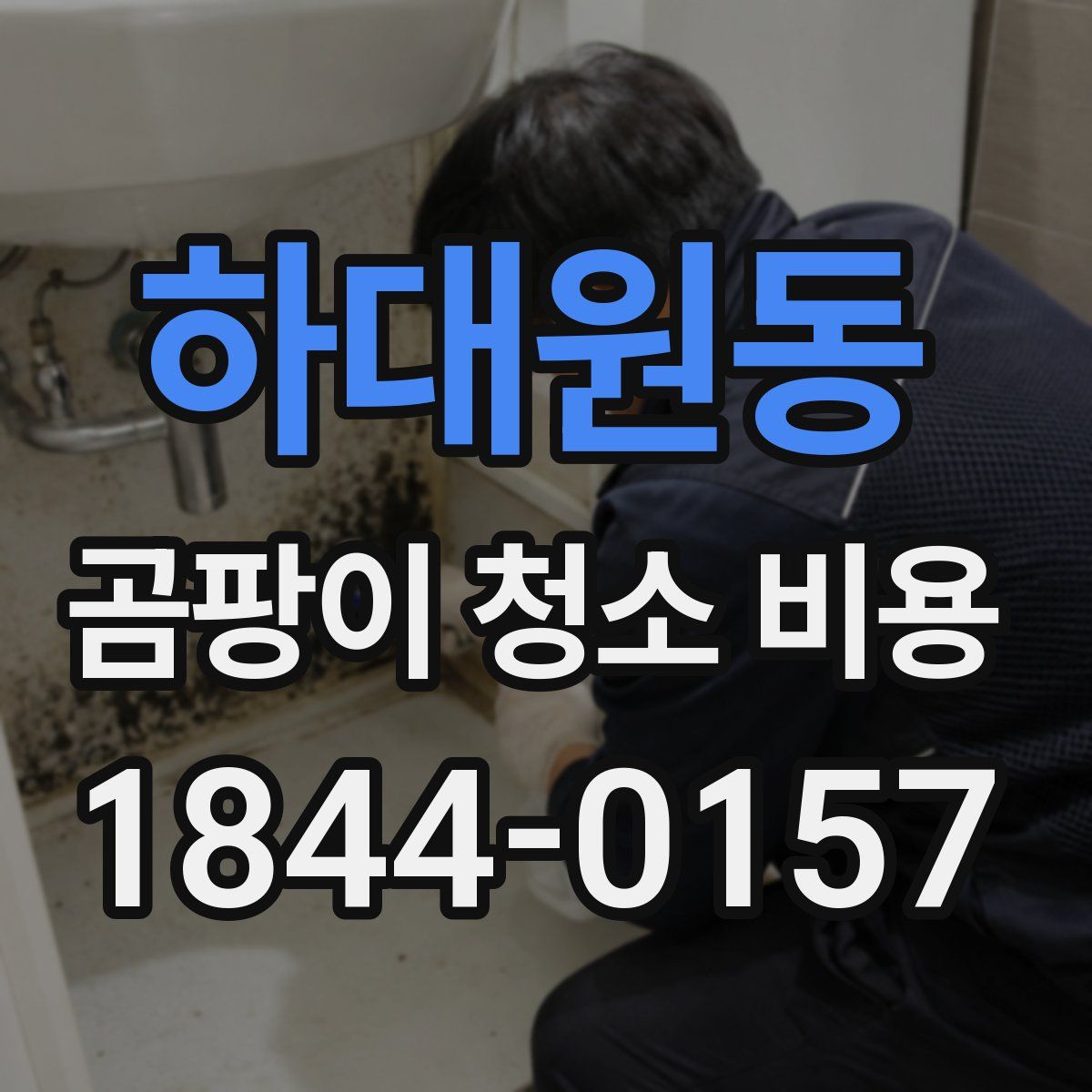 하대원동 곰팡이 청소 비용