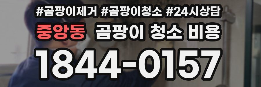 중앙동 곰팡이 청소 비용