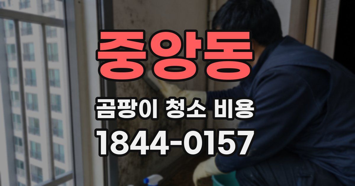 중앙동 곰팡이 청소 비용