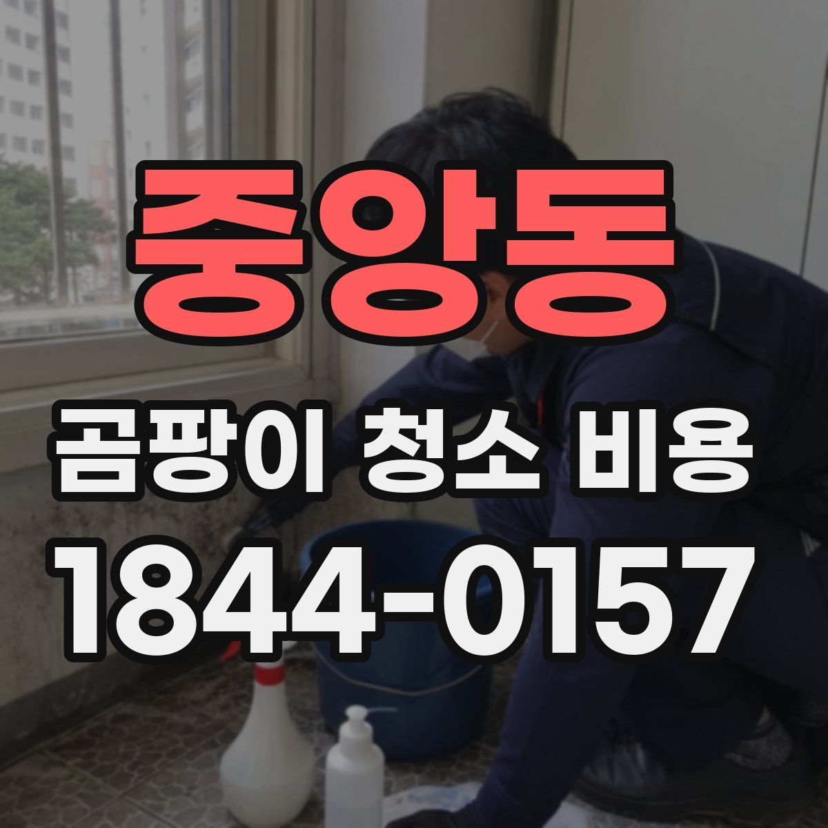 중앙동 곰팡이 청소 비용