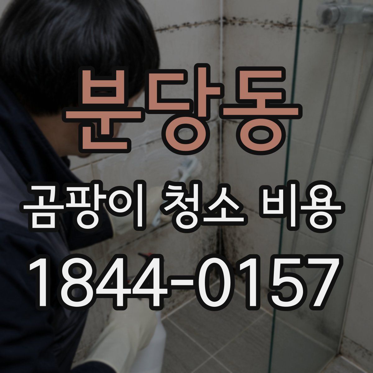 분당동 곰팡이 청소 비용