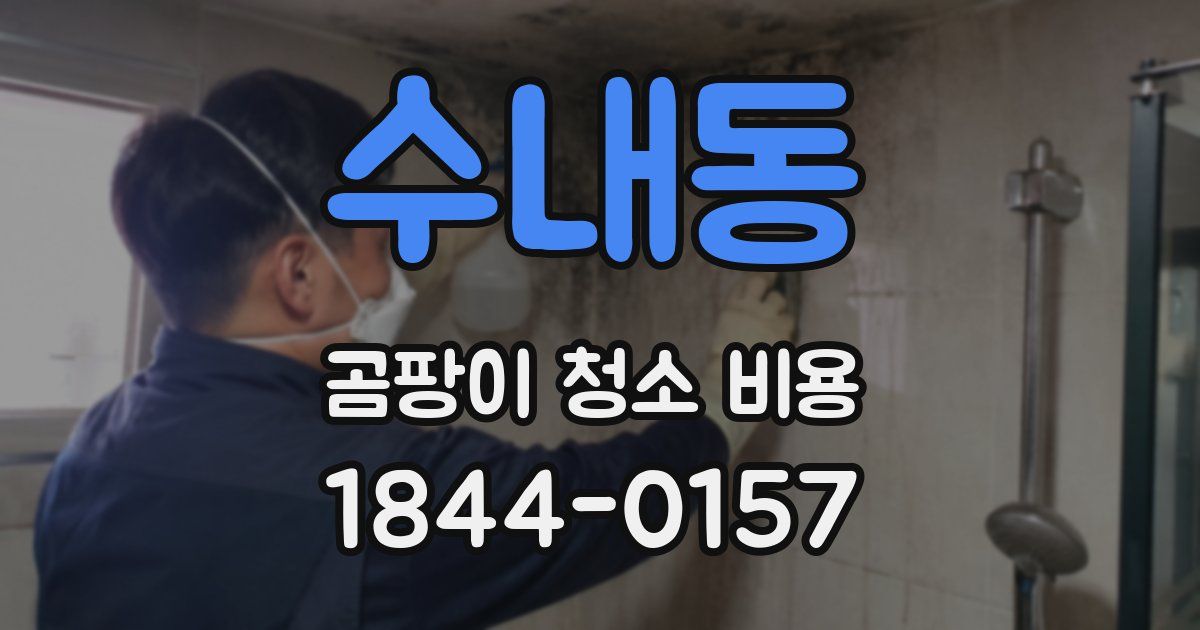 수내동 곰팡이 청소 비용