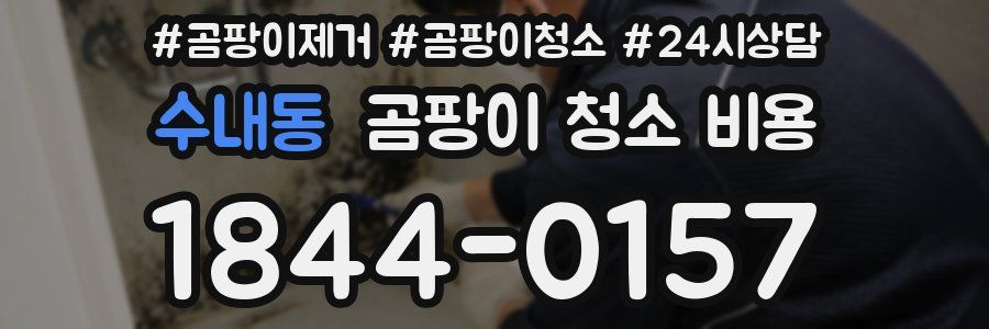 수내동 곰팡이 청소 비용