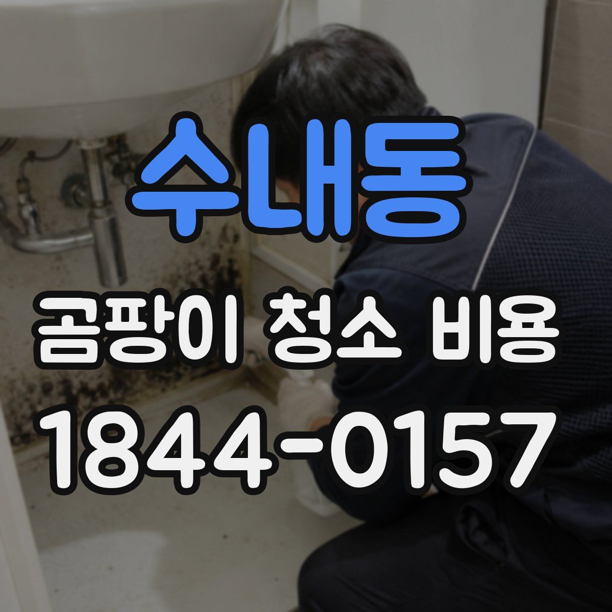 수내동 곰팡이 청소 비용