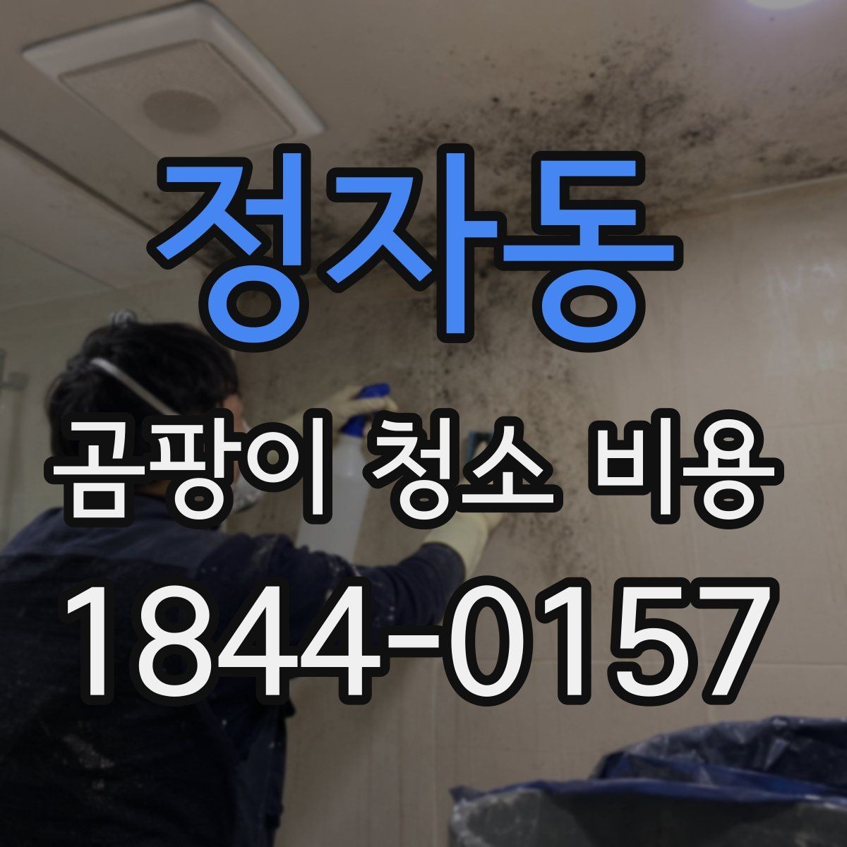 정자동 곰팡이 청소 비용 장비 사용 여부에 따라 차이 나는 부분
