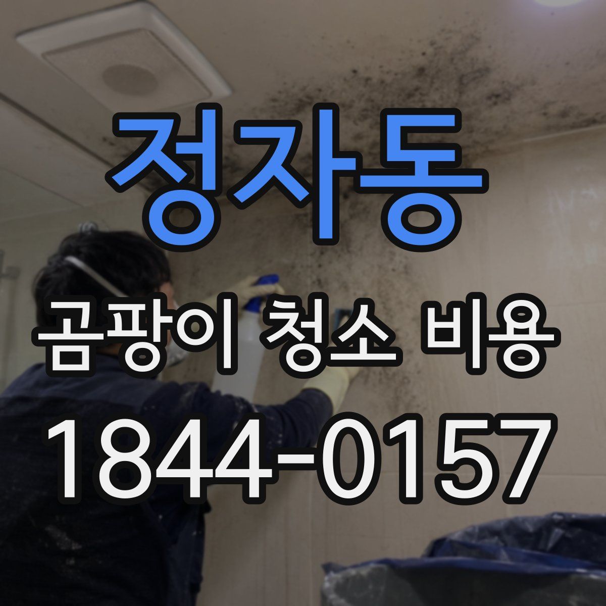 정자동 곰팡이 청소 비용