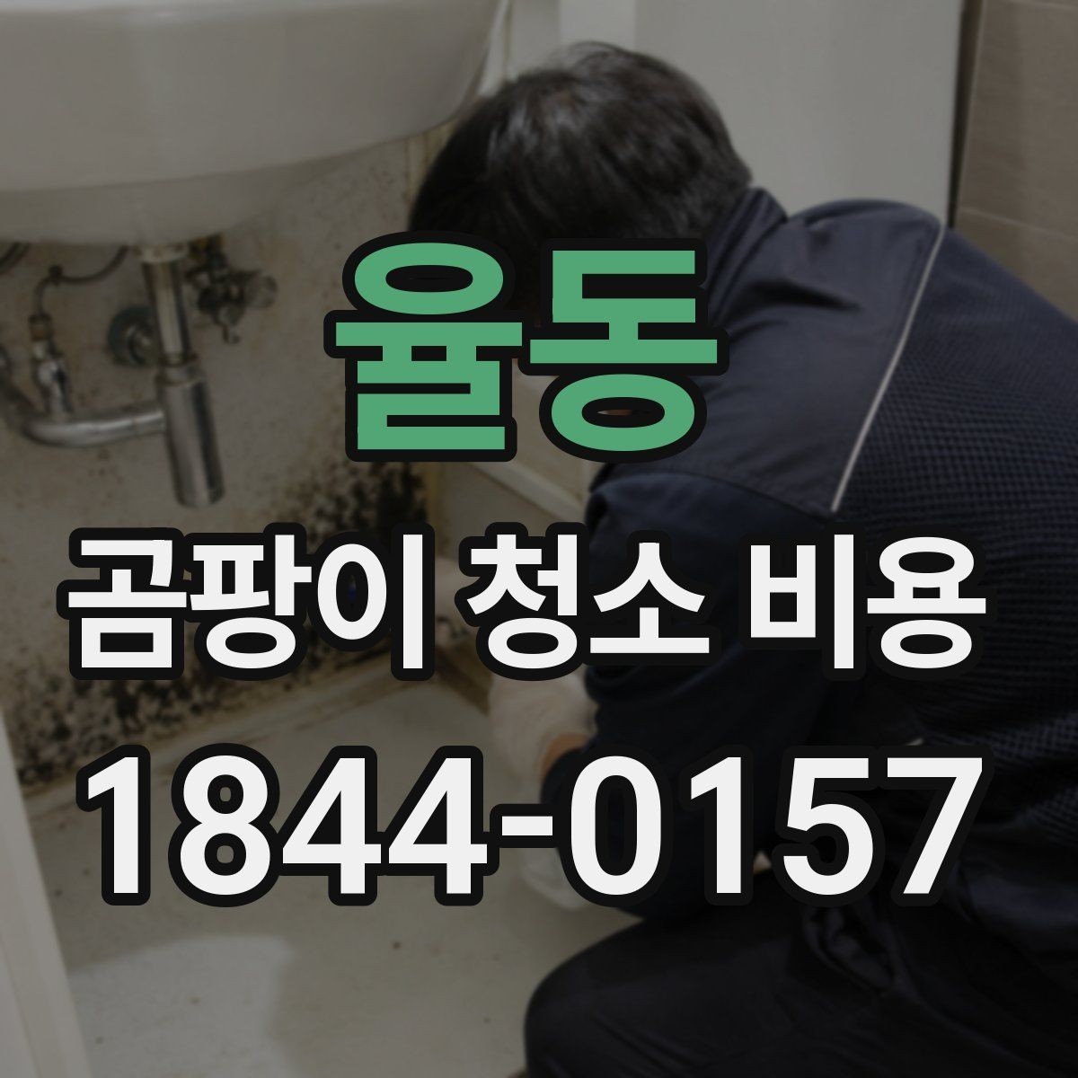 율동 곰팡이 청소 비용 베란다 오염이 심한 집의 점검 기준
