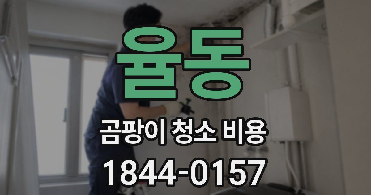 율동 곰팡이 청소 비용