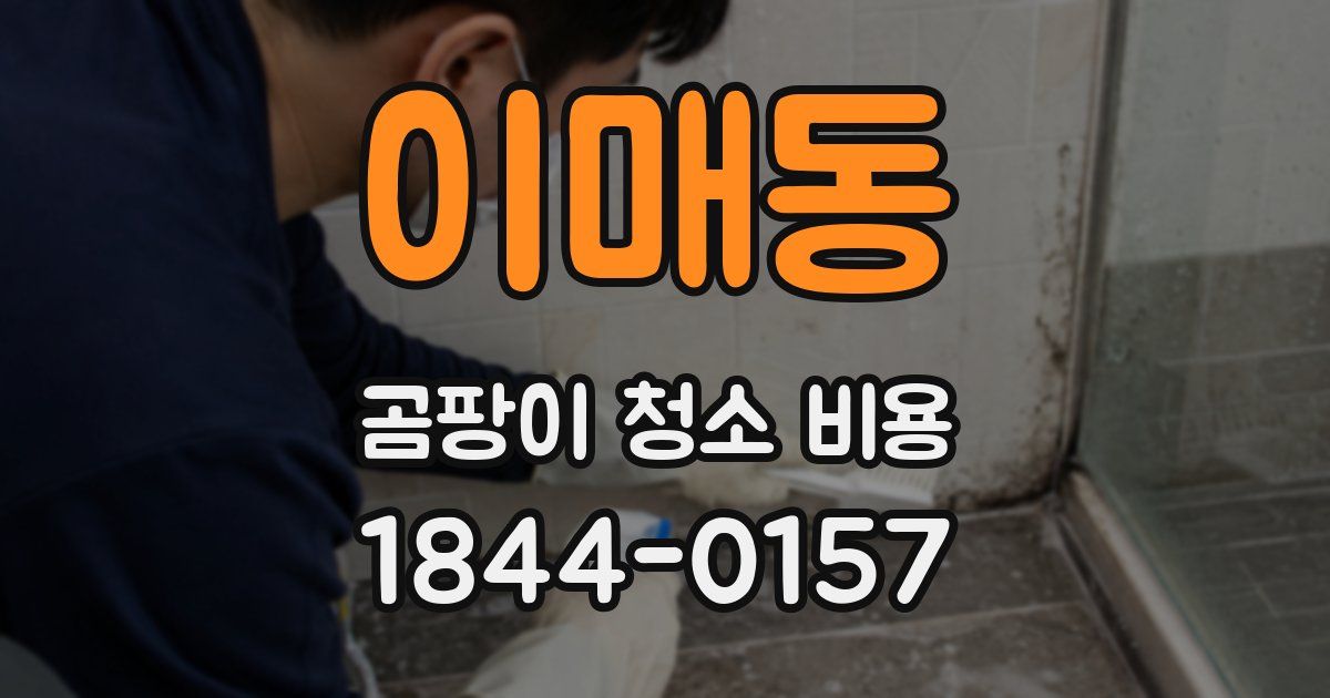 이매동 곰팡이 청소 비용