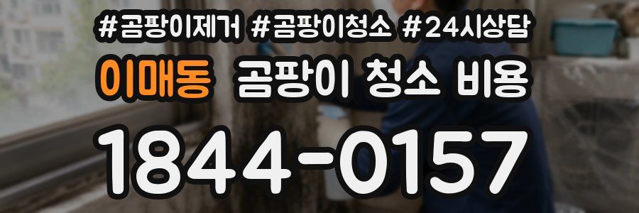이매동 곰팡이 청소 비용