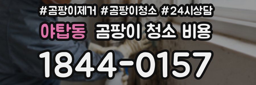 야탑동 곰팡이 청소 비용