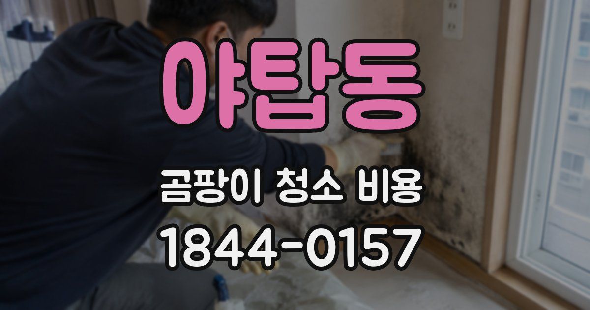 야탑동 곰팡이 청소 비용