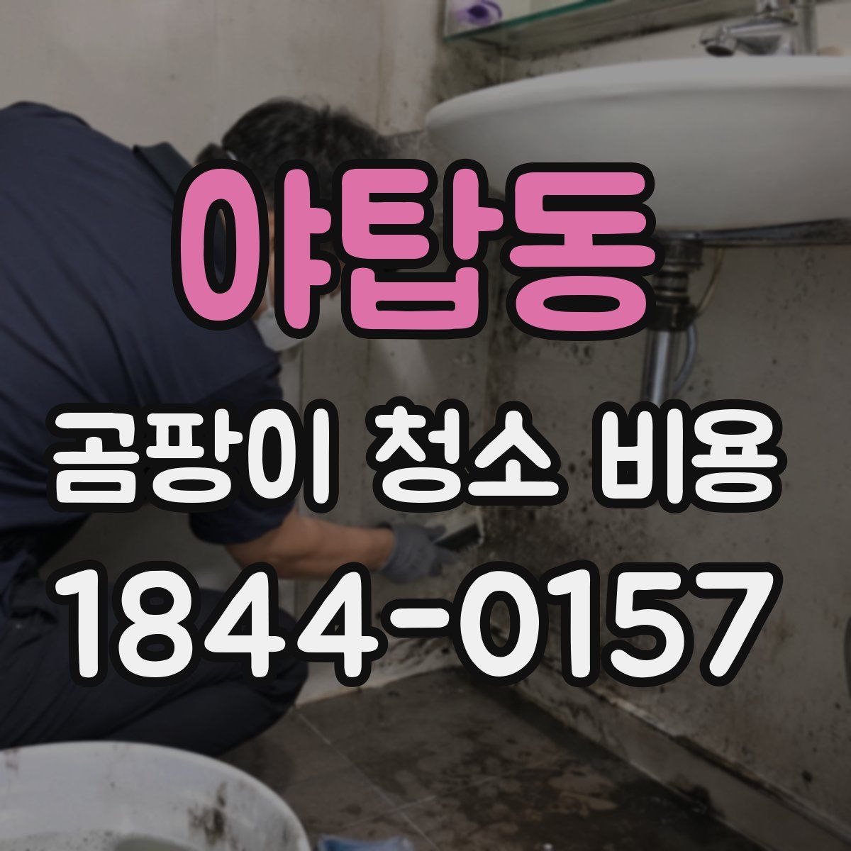 야탑동 곰팡이 청소 비용