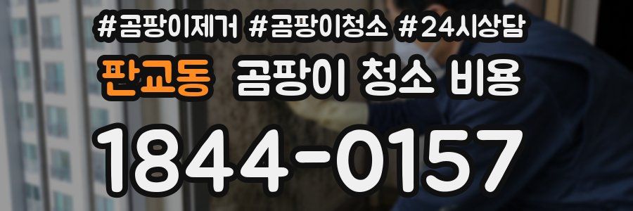 판교동 곰팡이 청소 비용