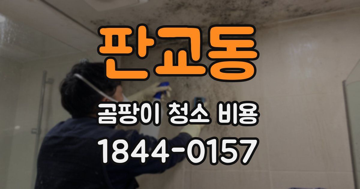 판교동 곰팡이 청소 비용