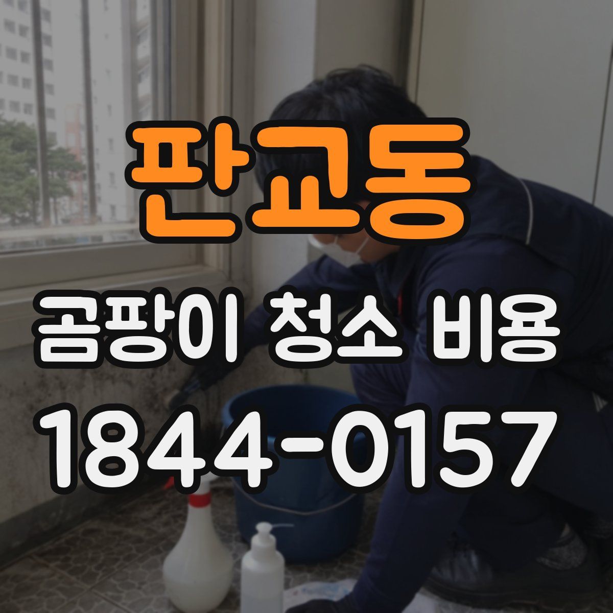 판교동 곰팡이 청소 비용