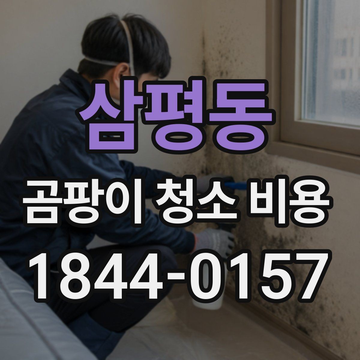 삼평동 곰팡이 청소 비용 천장 시공이 더 까다로운 이유와 차이