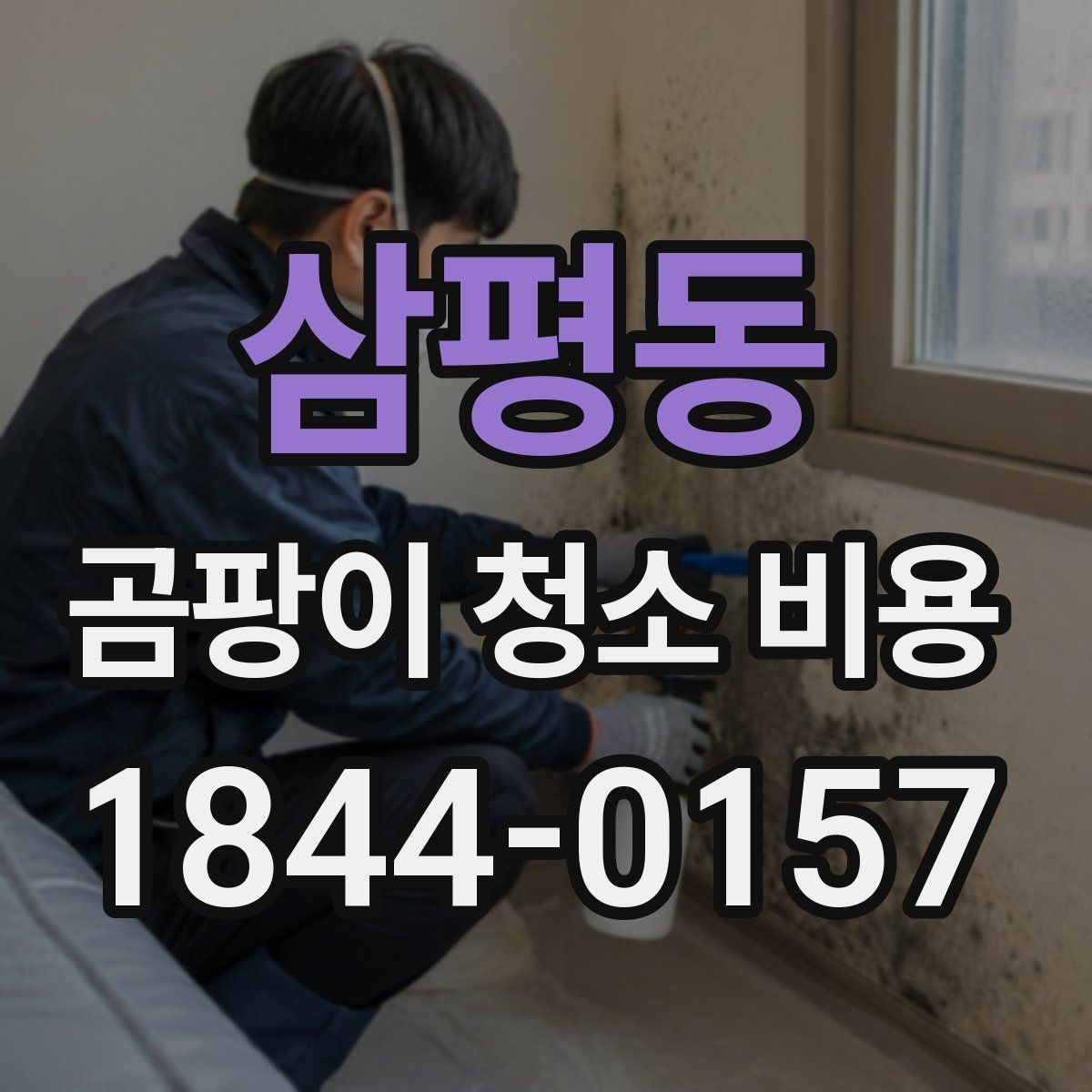 삼평동 곰팡이 청소 비용
