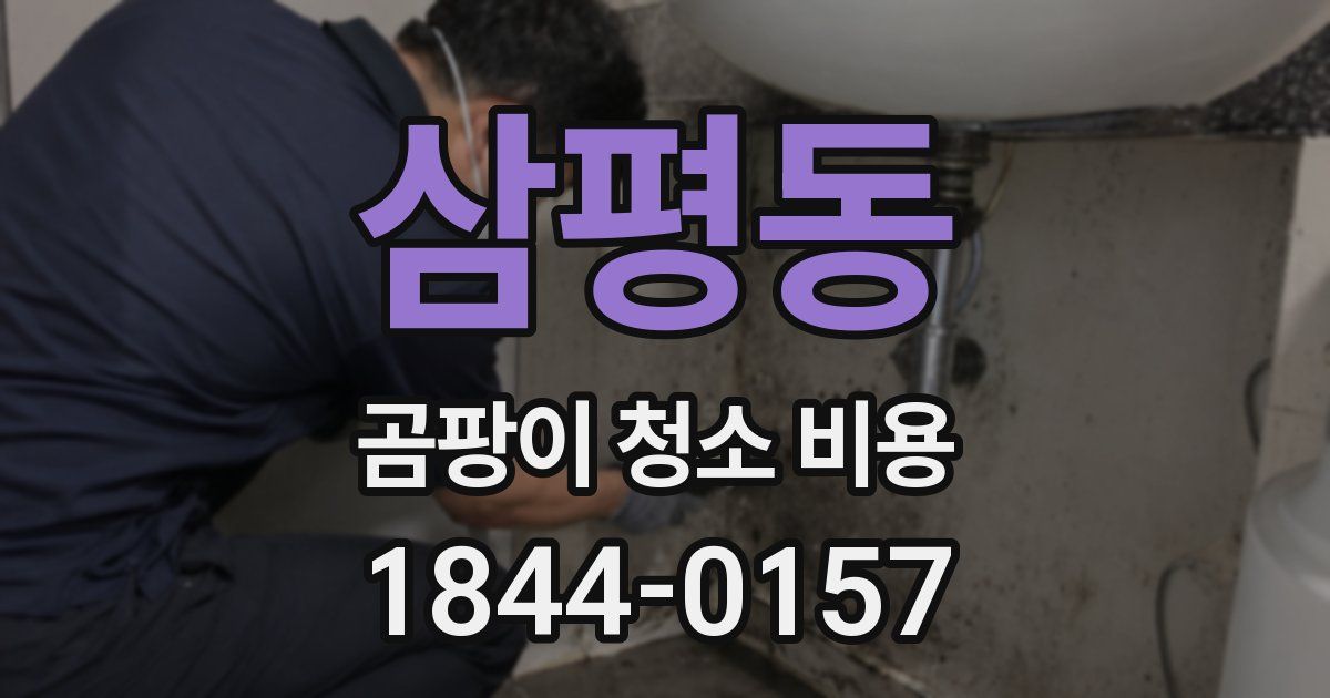 삼평동 곰팡이 청소 비용