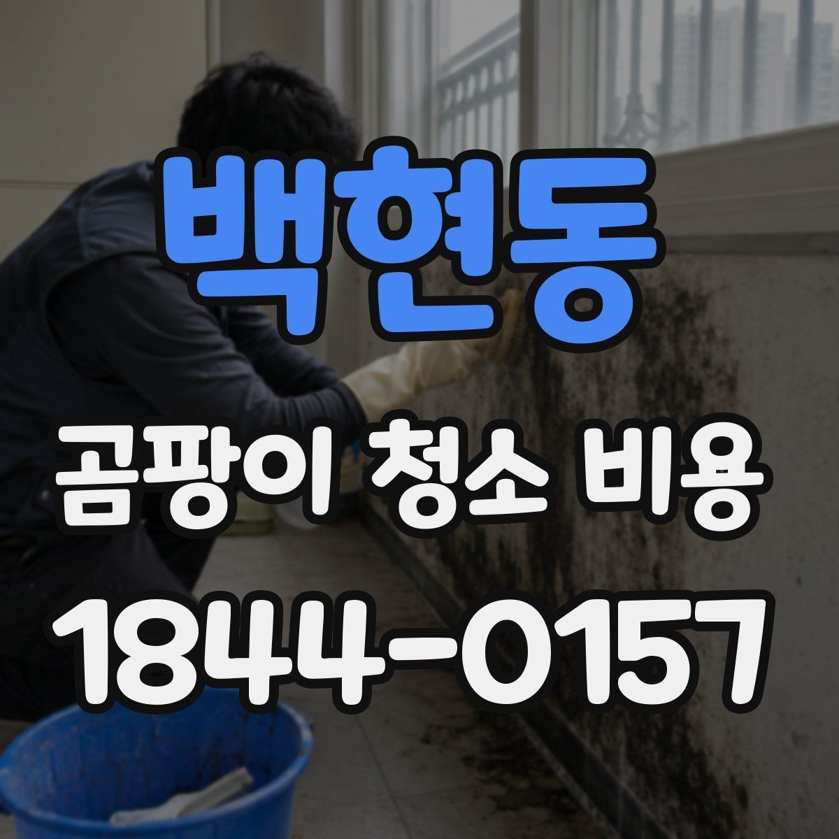 백현동 곰팡이 청소 비용 환기 관리까지 포함해 보는 법