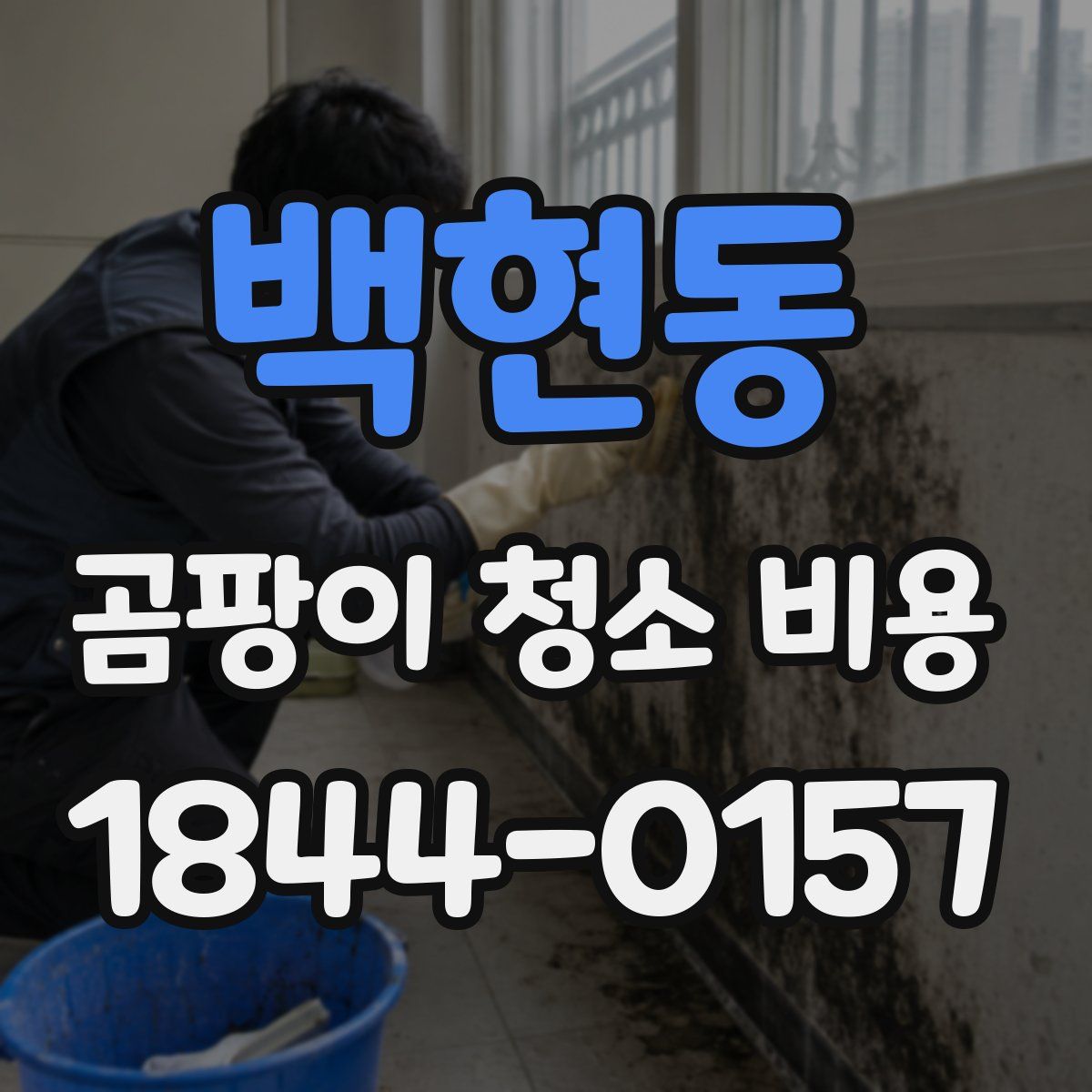 백현동 곰팡이 청소 비용
